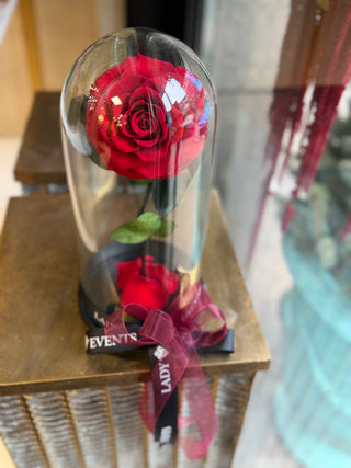 Trandafir criogenat rosu in cupola de sticla - vedere laterala, cadou unic Lady Events
