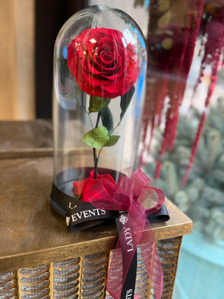 Trandafir criogenat rosu in cupola de sticla cu panglica Lady Events - cadou romantic
