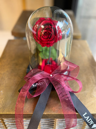 Trandafir rosu criogenat in cupola de sticla cu panglica Lady Events - produs de lux