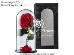 Trandafir Prezervat Rosu in Cupola de Sticla Mare