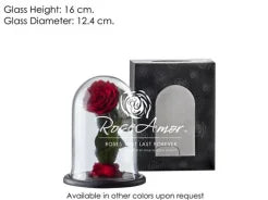 Trandafir Prezervat Rosu in Cupola de Sticla