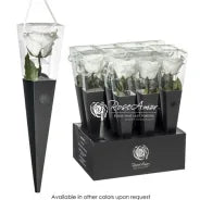 Trandafir Prezervat Alb cu Tija  – 30 cm