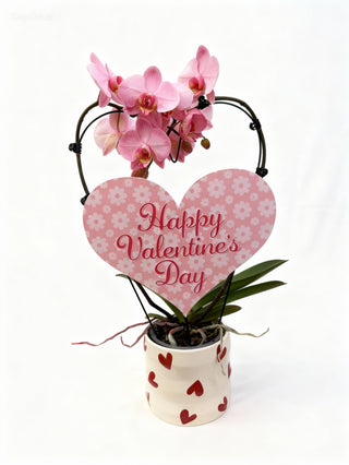 Orhidee Phalaenopsis Roz in forma de inima – ghiveci ceramic cu inimioare, punga cadou inclusa
